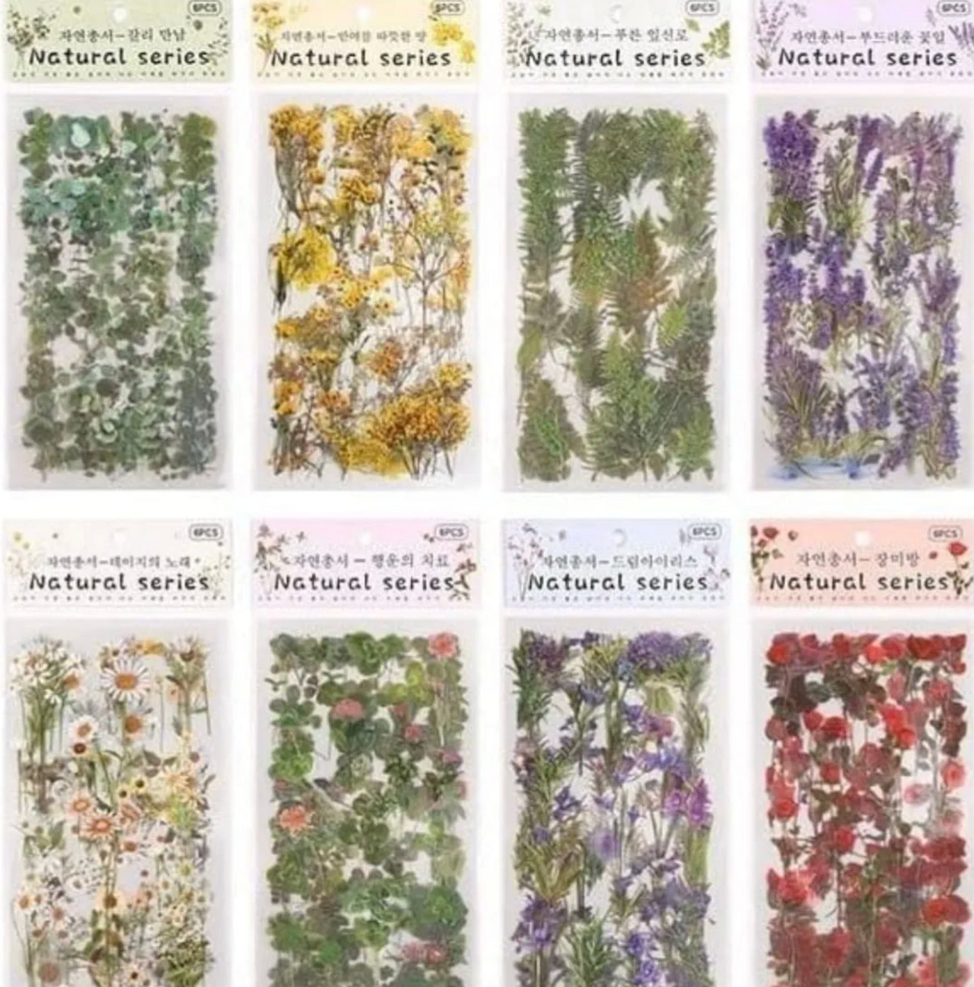 Botanical Garden PET Sticker Set – Transparent Floral Journal Stickers (6 Sheets)