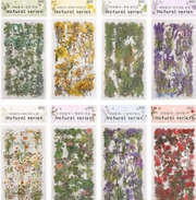 Botanical Garden PET Sticker Set – Transparent Floral Journal Stickers (6 Sheets)