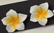 Tropical Blossom Flower Stud Earrings
