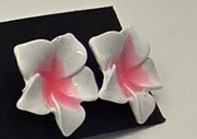 Tropical Blossom Flower Stud Earrings